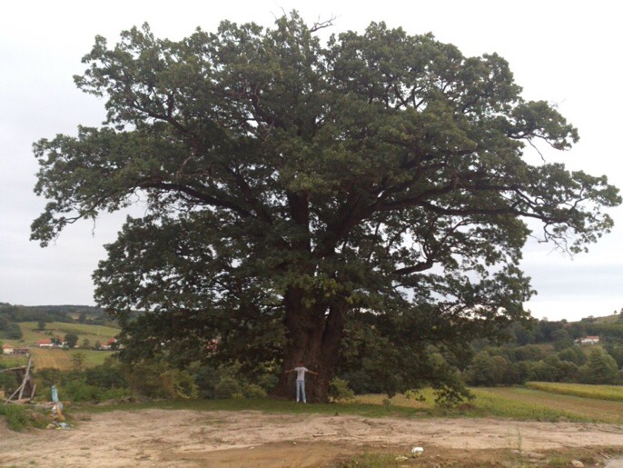 This image has an empty alt attribute; its file name is img_1852.jpg