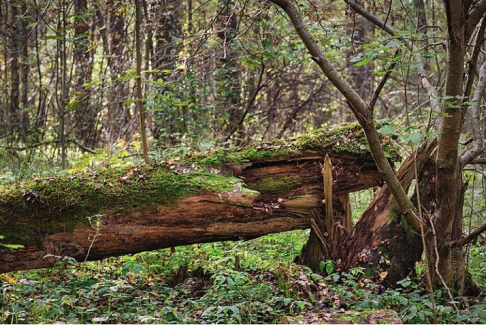 This image has an empty alt attribute; its file name is img_1854.jpg